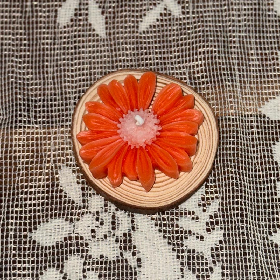 Vela de margarita bicolor