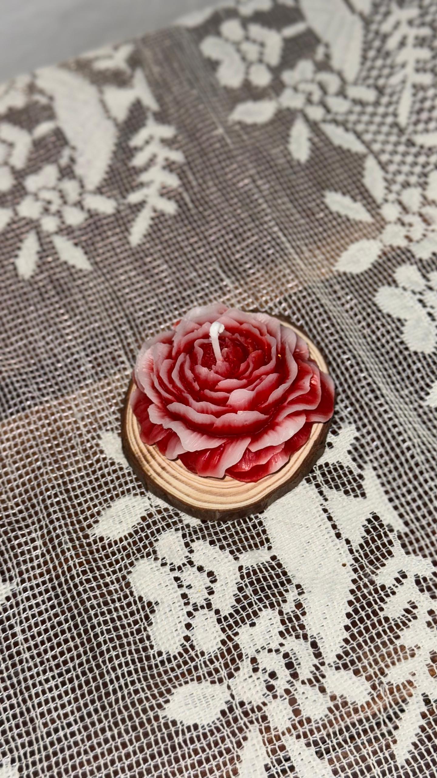 Vela de rosa bicolor